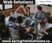 Spring Time Software – Software Company image 3